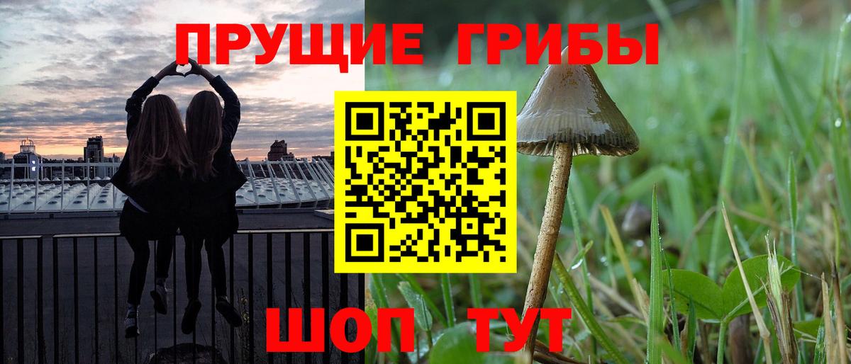 Галлюциногенные грибы Magic Shrooms Луга